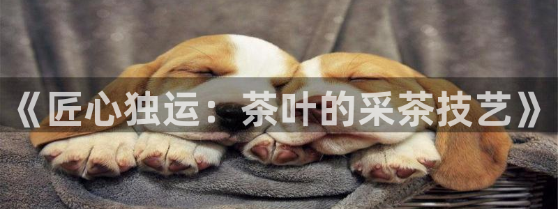 鸿运快三平台