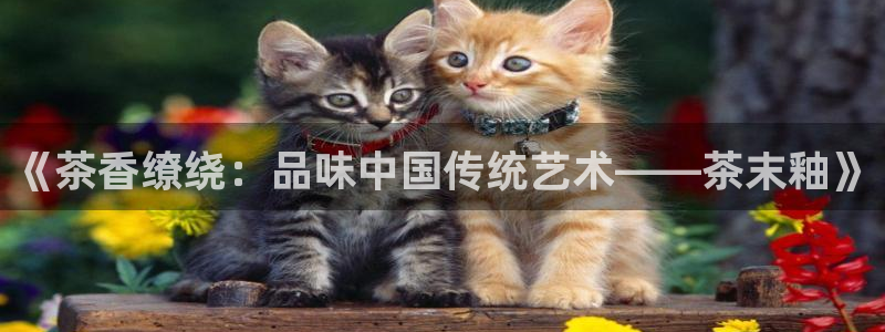 鸿运福星缴费平台