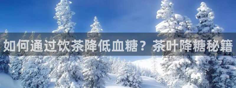 鸿运当头直播平台