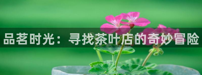 鸿运集团平台招聘