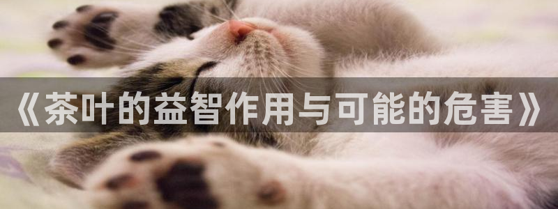 鸿运彩票平台