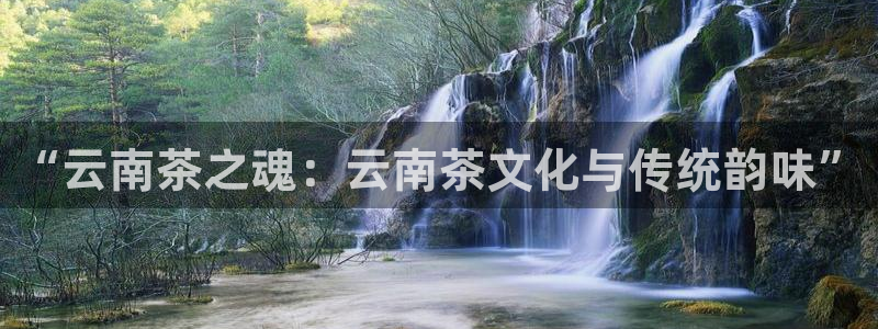 鸿运官网平台登录