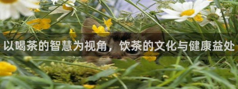 鸿运防水服务平台