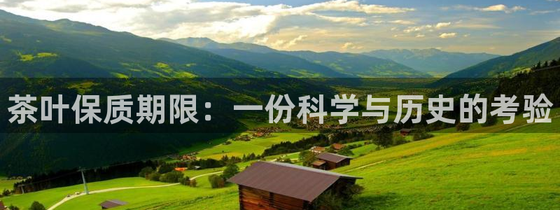 鸿运集团有几个平台