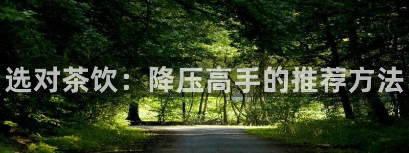 鸿运画室平台介绍