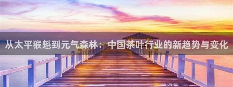 国际鸿运手机版平台