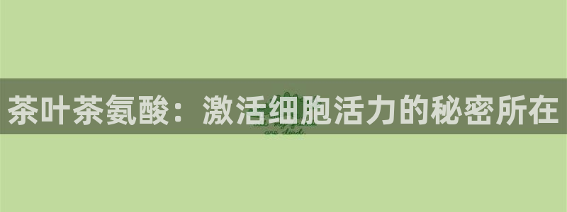 鸿运最大的直播平台