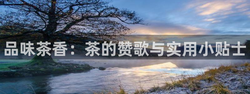 鸿运平台是干嘛的