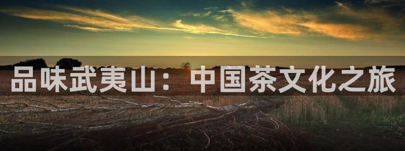 鸿运是什么平台