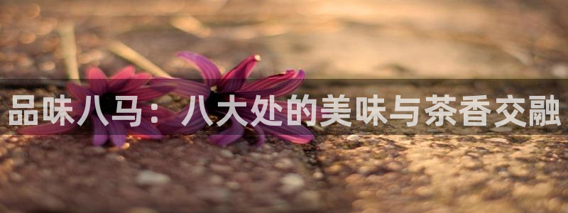 鸿运国际平台平台介绍