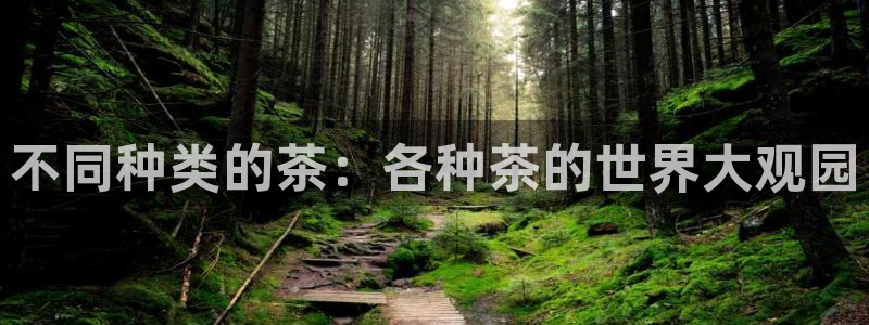 鸿运平台注册流程视频