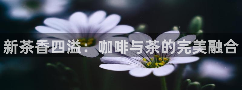 鸿运充值平台