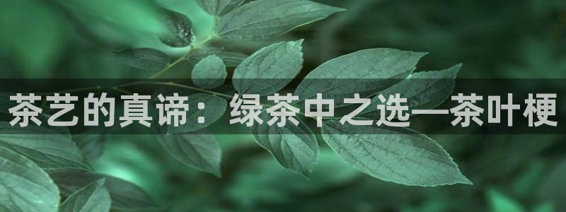 鸿运直播彩票平台