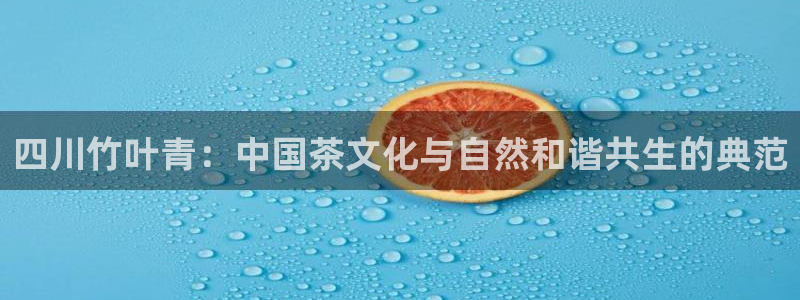 鸿运做单平台