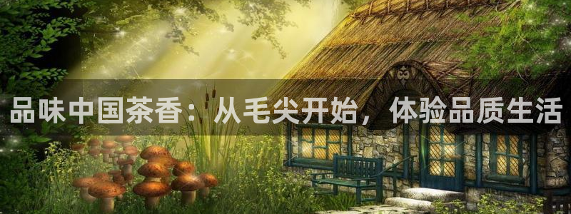 鸿运美食团购平台