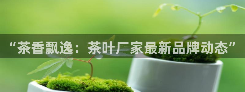 鸿运寄卖回收平台