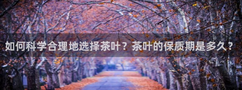 鸿运平台推荐