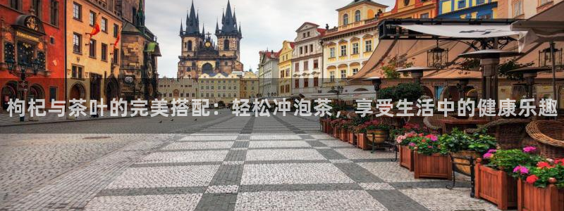 鸿运集团平台官网