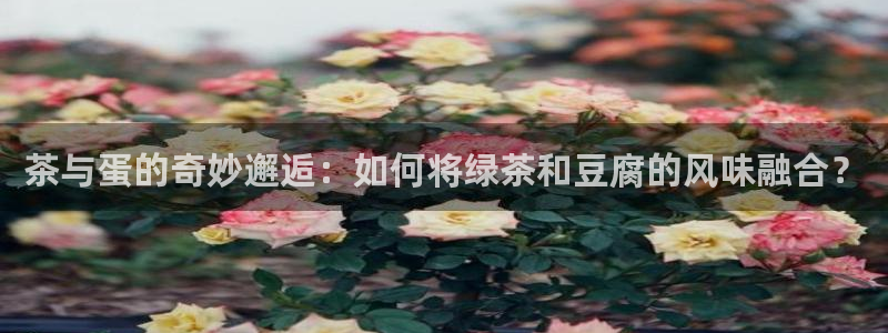 鸿运网站平台