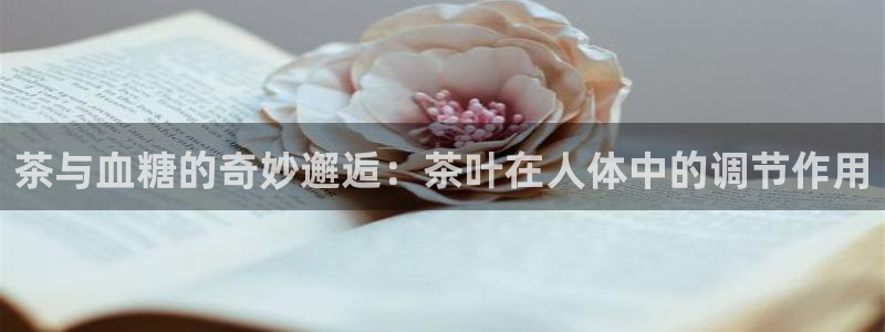 鸿运游戏平台
