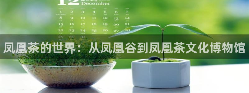 鸿运平台娱乐