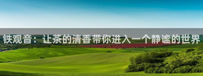 鸿运农场直播平台