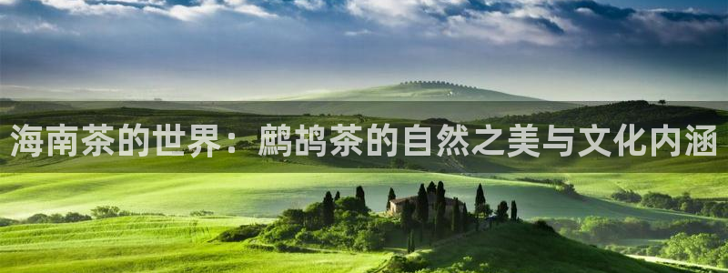 鸿运平台是骗局吗