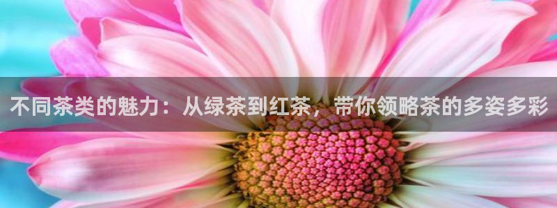 鸿运汽车团购平台