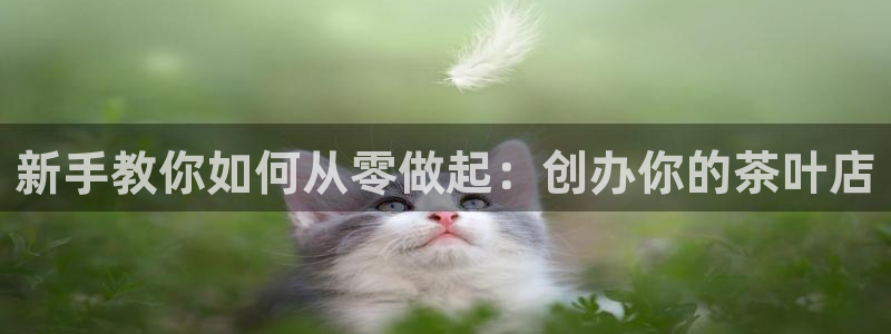 鸿运彩票平台下载