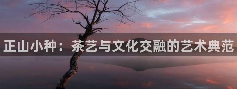 鸿运购彩平台lottery