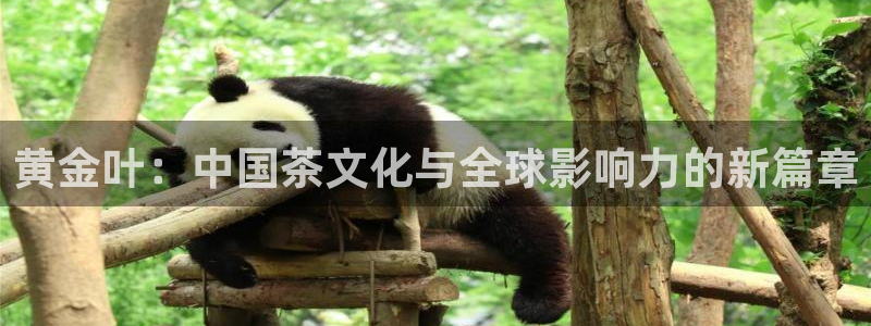 鸿运当头翡翠平台