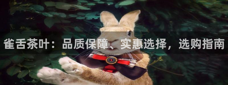 鸿运集团平台官网