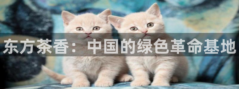 鸿运福彩平台