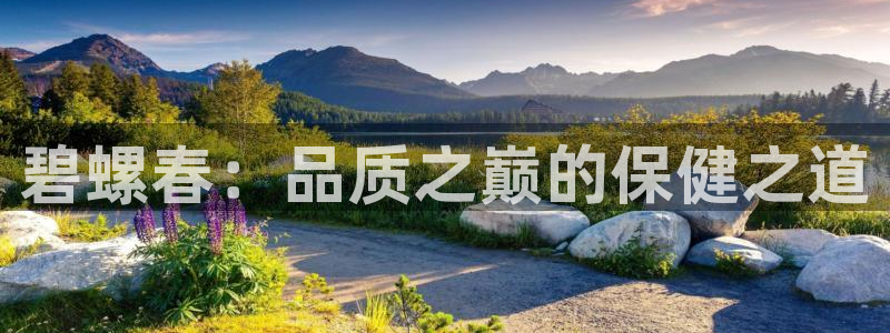鸿运通商平台