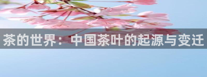 鸿运网上娱乐平台