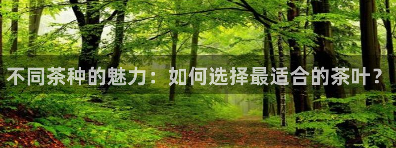 鸿运当头贷款平台