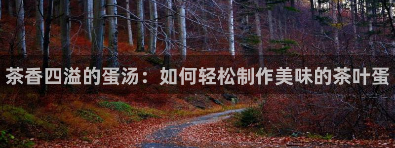 鸿运电商平台