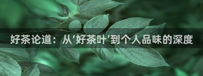 琥珀鸿运平台推广码