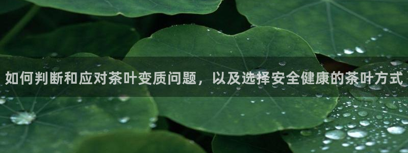 鸿运农机团购平台