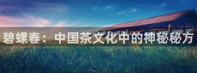 鸿运彩票平台登录不了