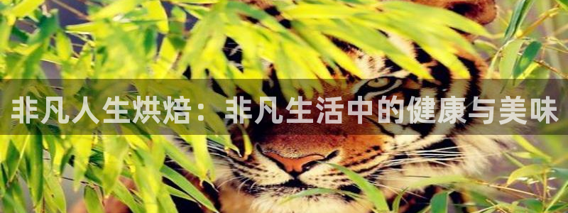 鸿运供应管理平台