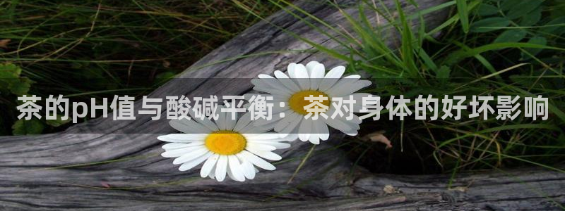 鸿运主播平台