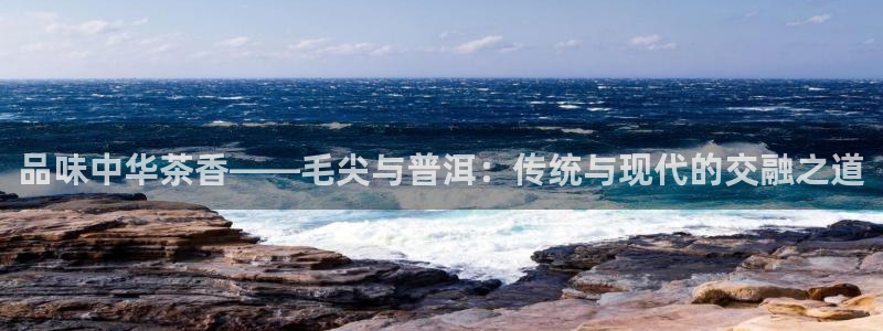 鸿运菜瞟平台