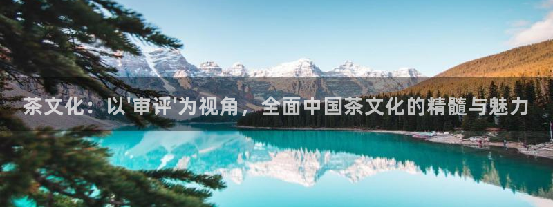 香港鸿运是什么平台