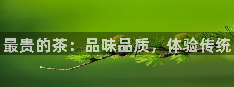 鸿运开户平台