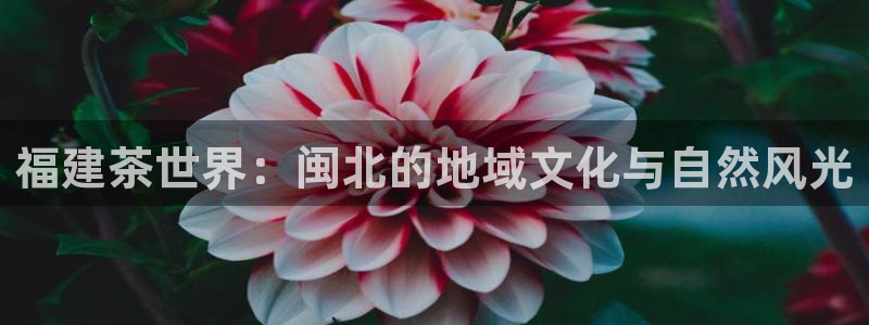 鸿运最新平台是什么