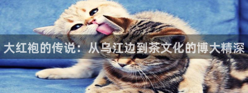 鸿运娱乐平台