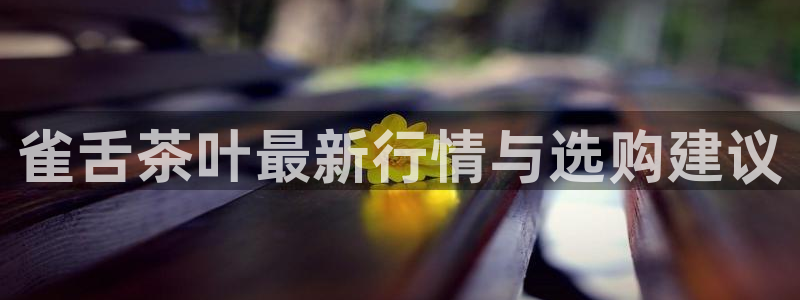 鸿运投资平台是什么