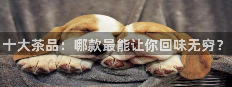 鸿运在线投资平台