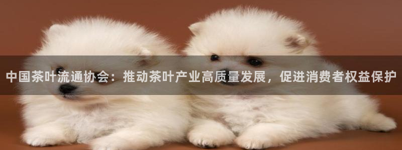 鸿运授权平台